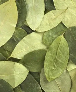 Coca Leaves 1,000gr (1kg)