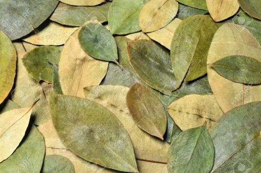 Coca Leaves 200 grams